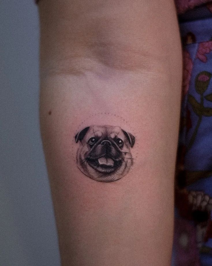 Pug Tattoo Small Realistic Fineline On Forearm By Alexandyr Valentine Pug Tattoo Pug Tattoo