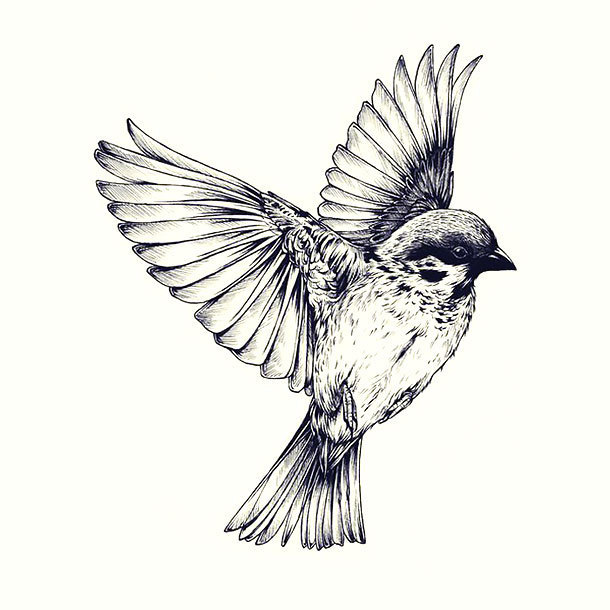 Realistic Sparrow Tattoo Design