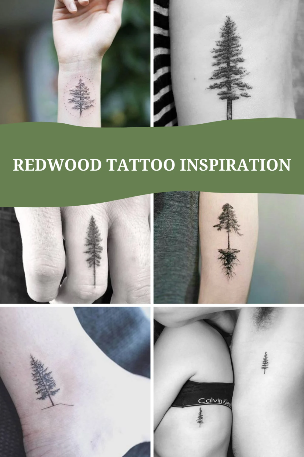 5 Stunning Redwood Tree Tattoo Designs for Nature Lovers