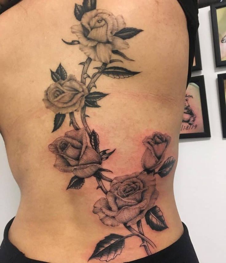 21 Captivating Rose with Vines Tattoo Designs