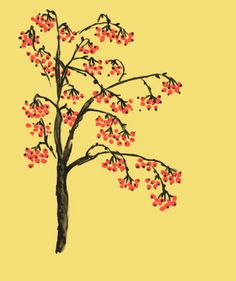 Enchanting Rowan Tree Tattoo Designs Unveiled