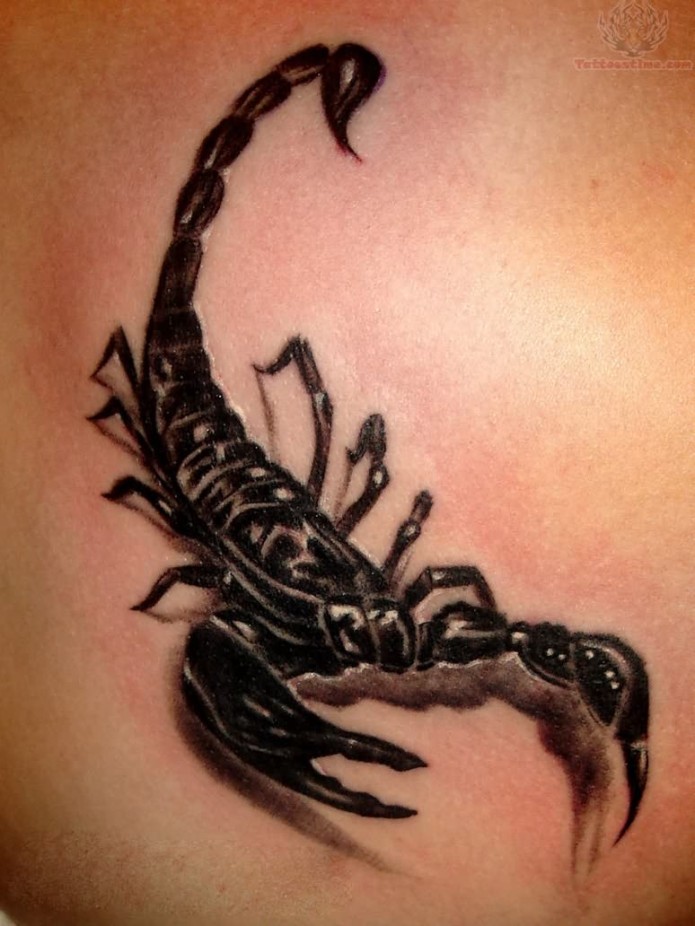 Top Scorpion Back Tattoo Designs for 2023