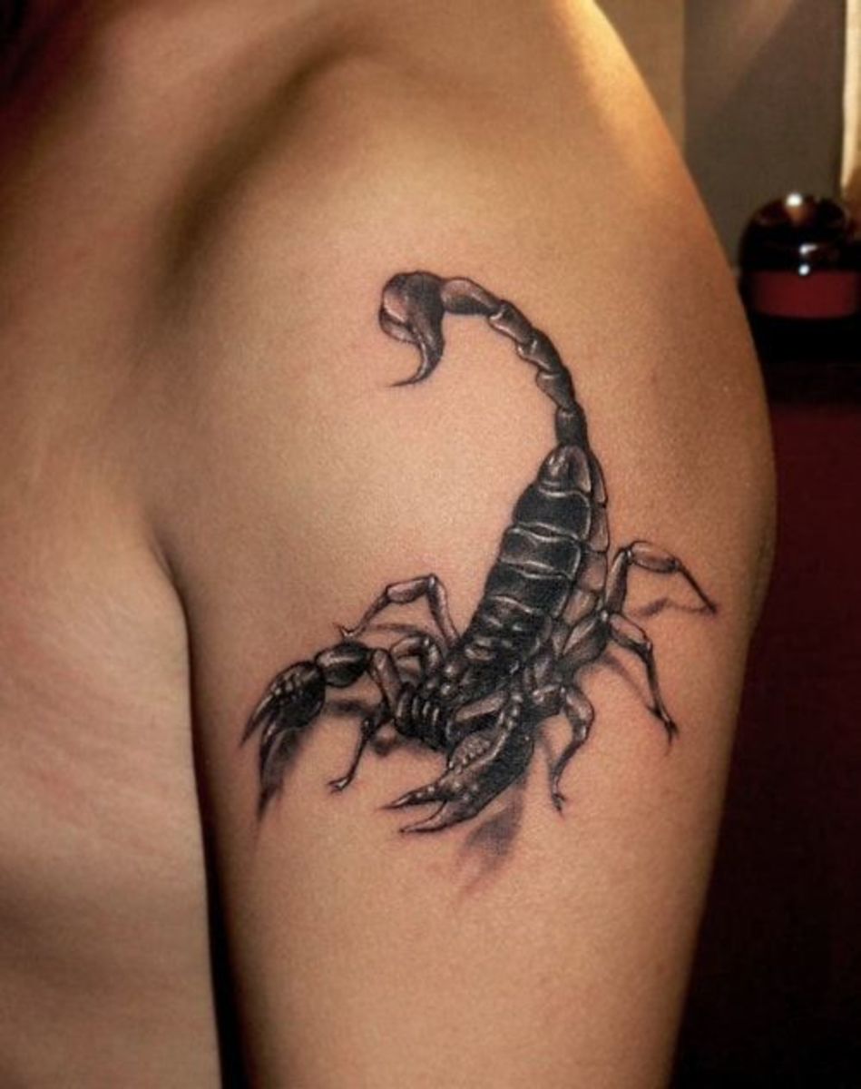 Scorpion Tattoos A Gallery Of Inspiring Design Ideas Tattoo Twist