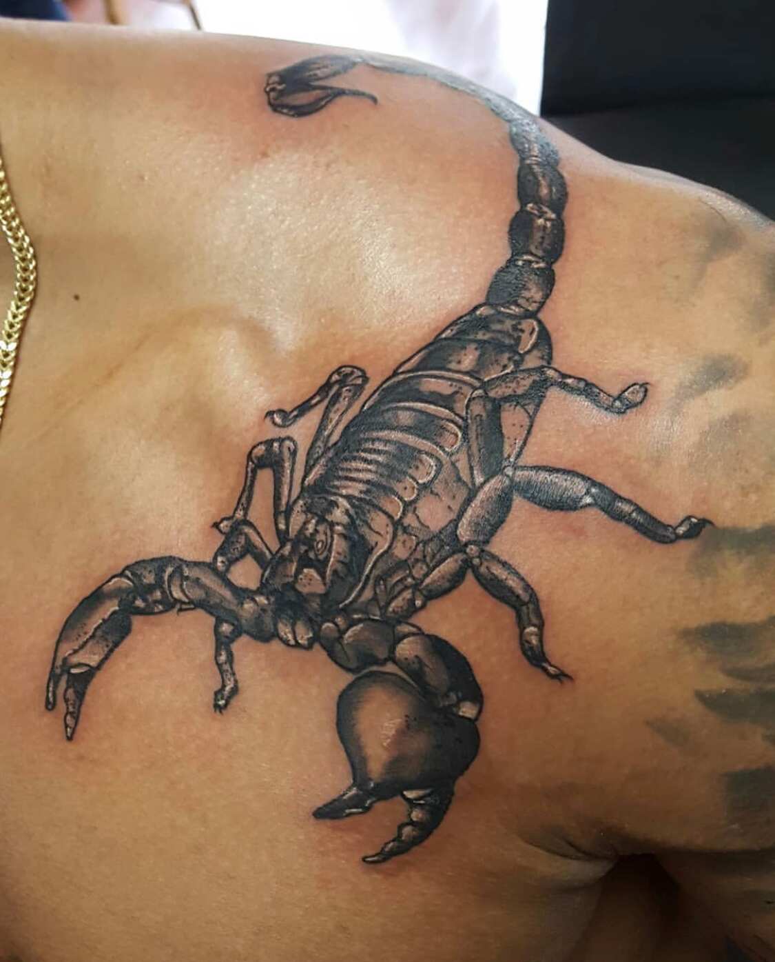 Scorpion Tattoos For Men Ideas And Inspiration For Guys