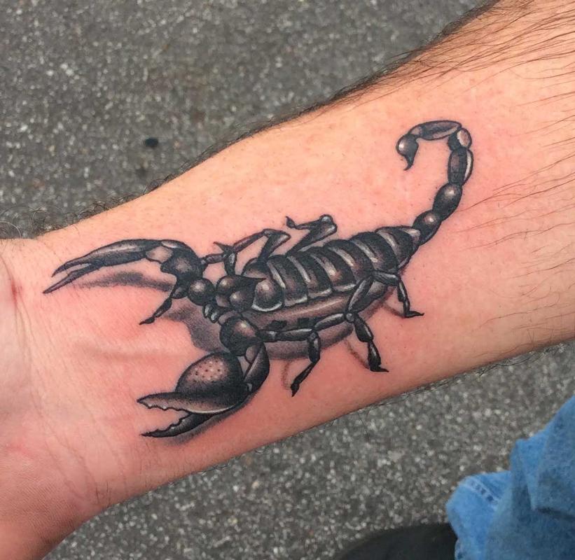 Scorpion Tattoos Tattoofan Scorpio Tattoo Scorpion Tattoo Tattoos