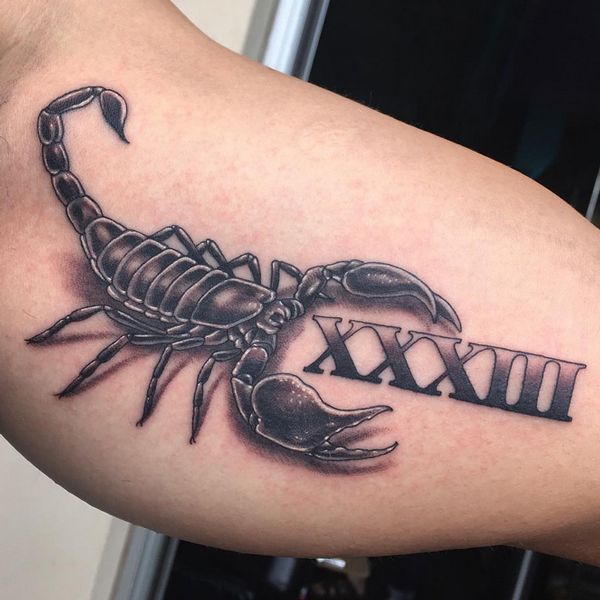 Share 66 3D Scorpion Tattoos In Eteachers