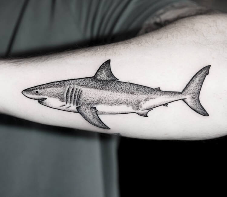 Shark Tattoo By Sebastian Echeverria Post 27342 Shark Tattoos