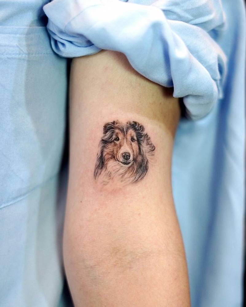 Shetland Sheepdog Tattoo Located On The Bicep