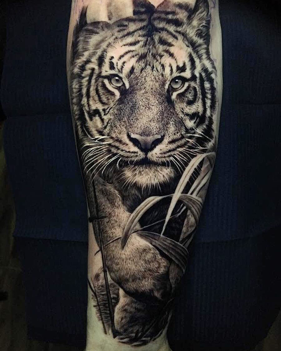 Discover the Majestic Beauty of Siberian Tiger Tattoo Designs