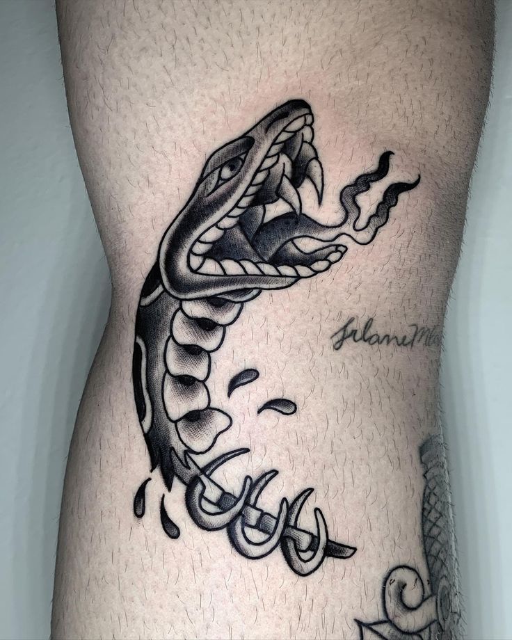 Snake And Moon With Images Snake Tattoo Design Black Snake Tattoo