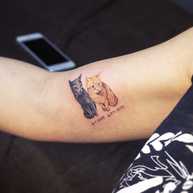 Soltattoo On Instagram Cat Tattoo Designs Cat Tattoo Tattoos