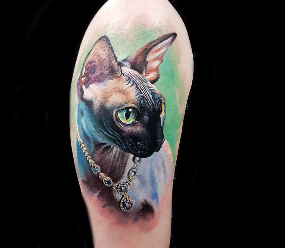 Sphynx Cat Tattoo By Marek Hali Post 23210 Sphynx Cat Tattoo Cat