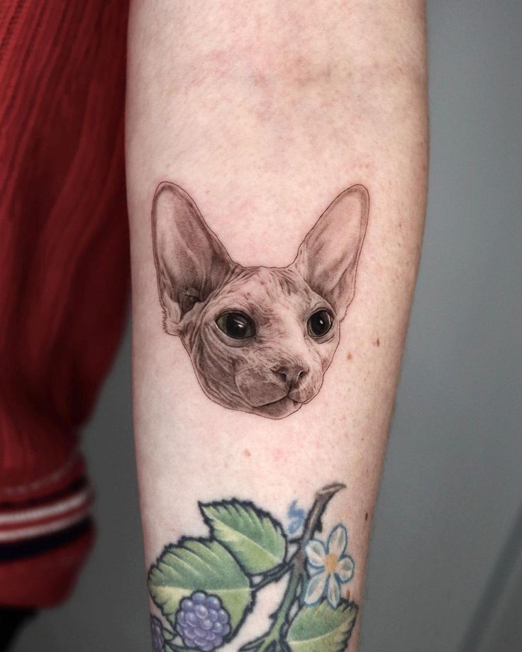 Sphynx Tattoo Idea Cat Tattoo Sphynx Cat Tattoo Tattoos