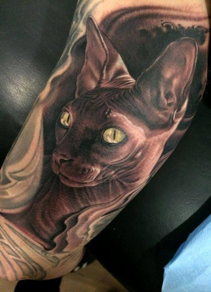 Sphynx Tattoo Ideas Tattoosai