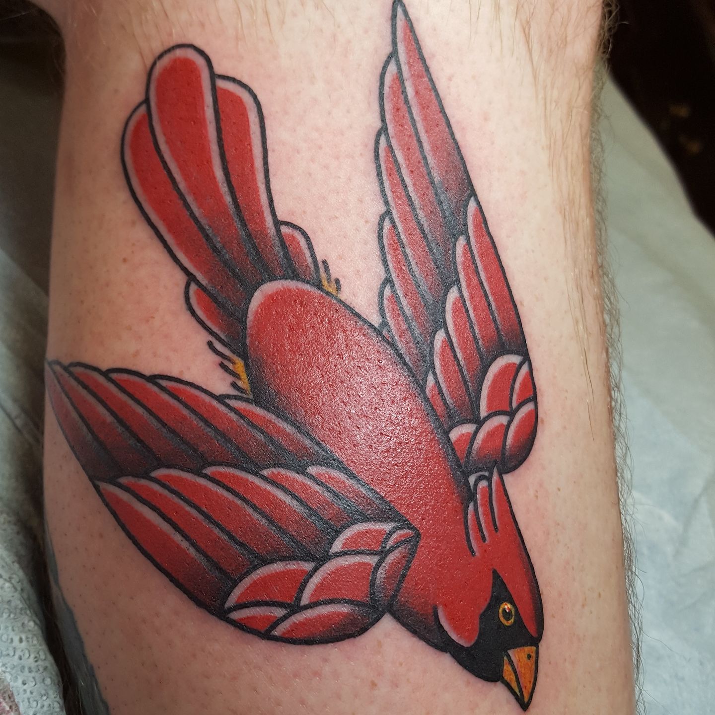 5 Stunning St. Louis Cardinals Tattoo Designs