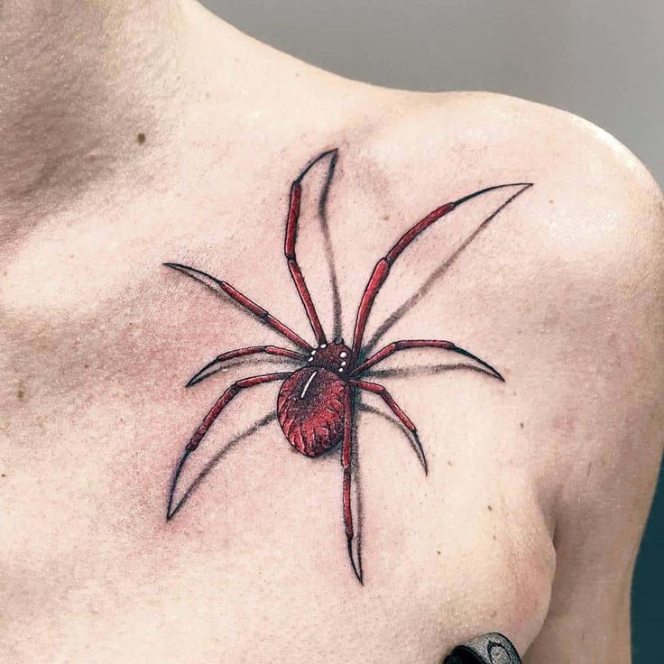 Stunning 3D Spider Tattoo Ideas