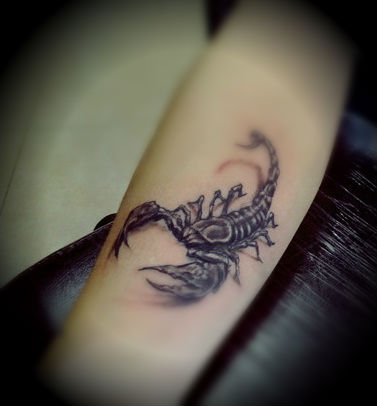 Stunning Scorpion Tattoo Designs For Men And Woman Skorpion Tattoo