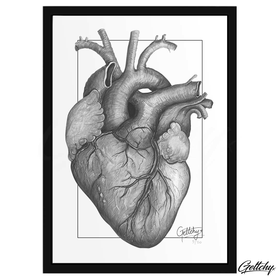 Sweetheart Anatomical Heart Tattoo Artwork Prints Geltchy