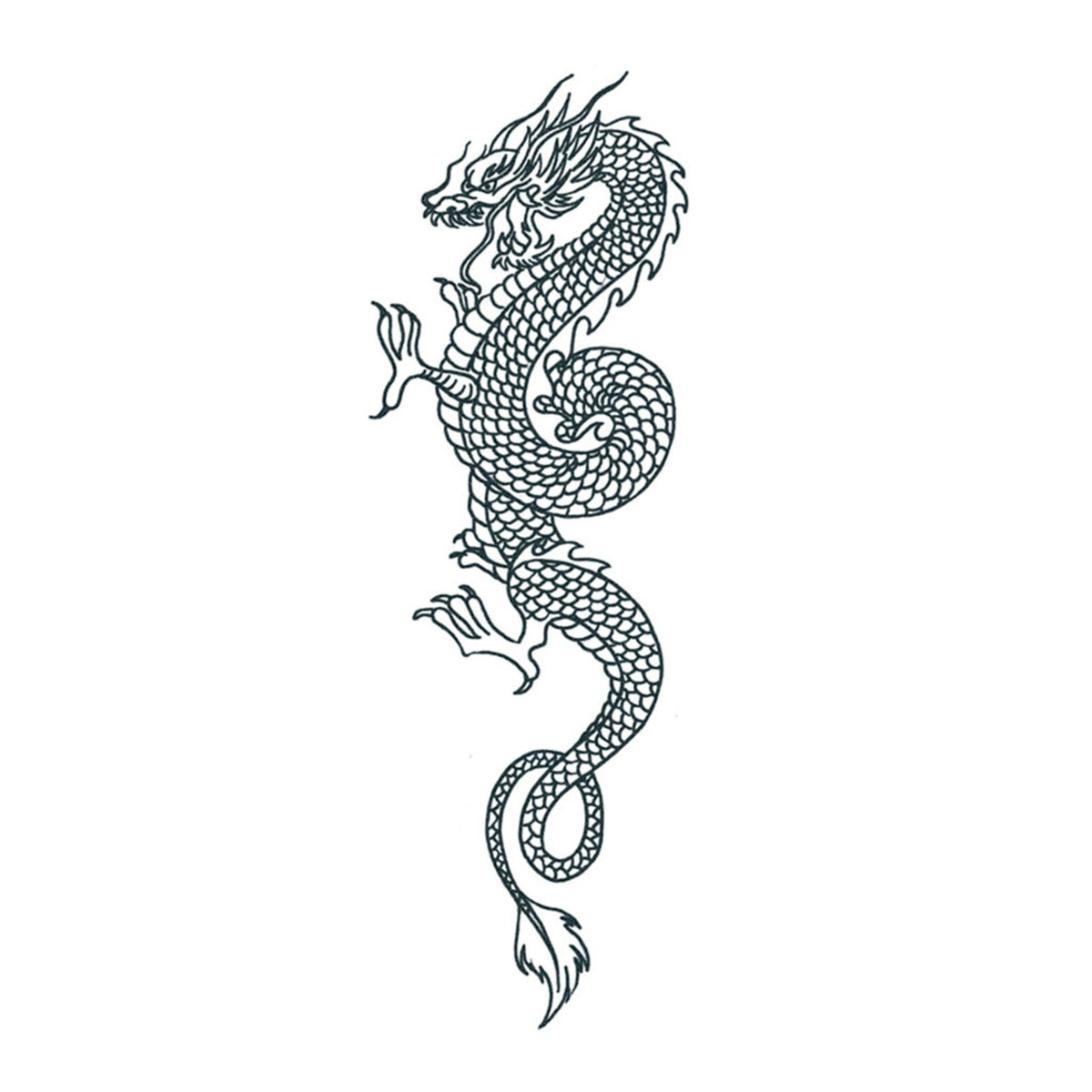 Tattoo Black Ink Oriental Dragon Tattoo Designs Baby Dragon Tattoo