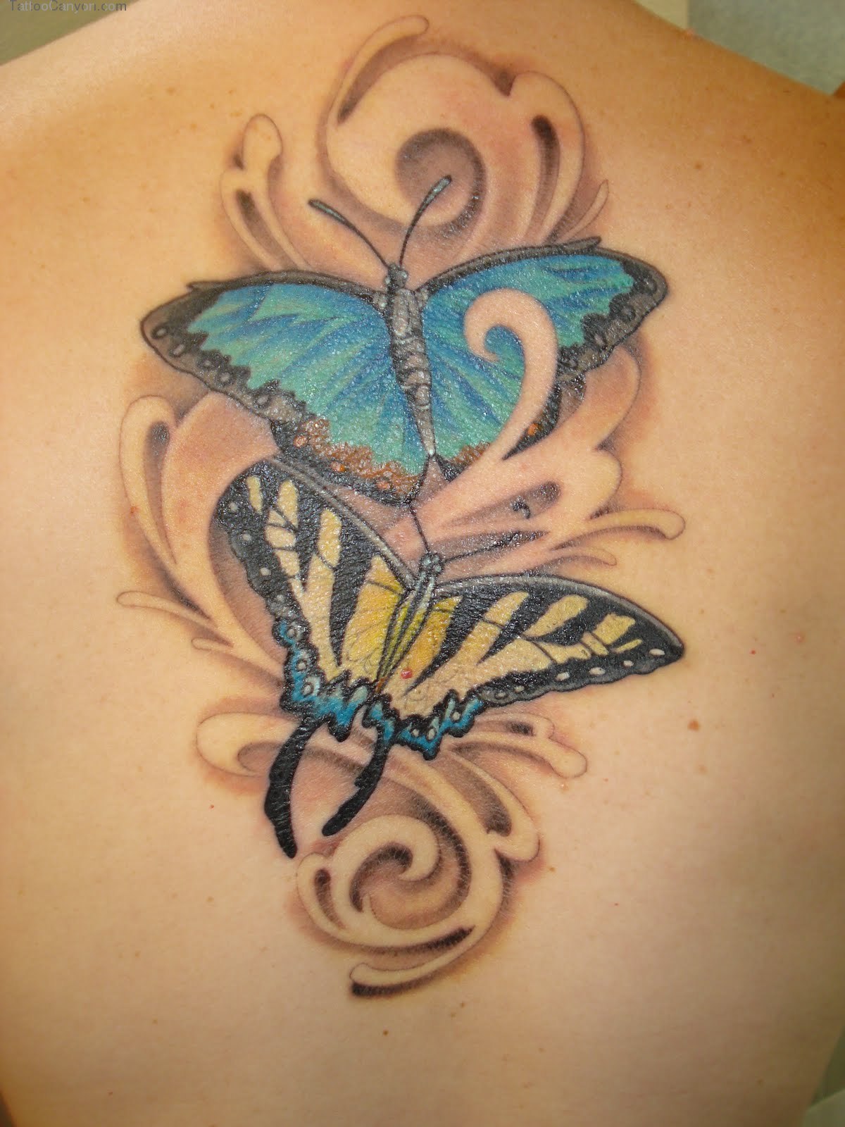 10 Stunning Butterfly Tattoo Designs to Inspire You