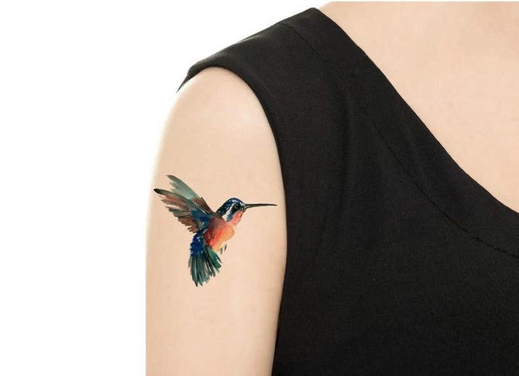 Temporary Tattoo Hummingbird Chickadee Finch Various Patterns Ruby