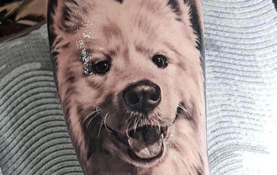 The 12 Cutest Samoyed Dog Tattoo Ideas That Show Your Love Pet Reader