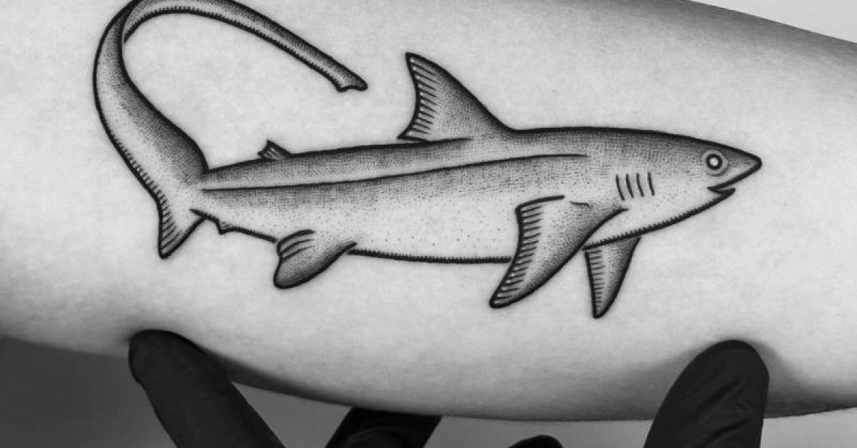 Thresher Shark Tattoo 2 By Gleaminggrin On Deviantart