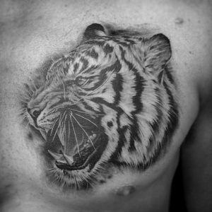 Tiger Chest Tattoo Designs Ideas And Meaning Tattoos For You