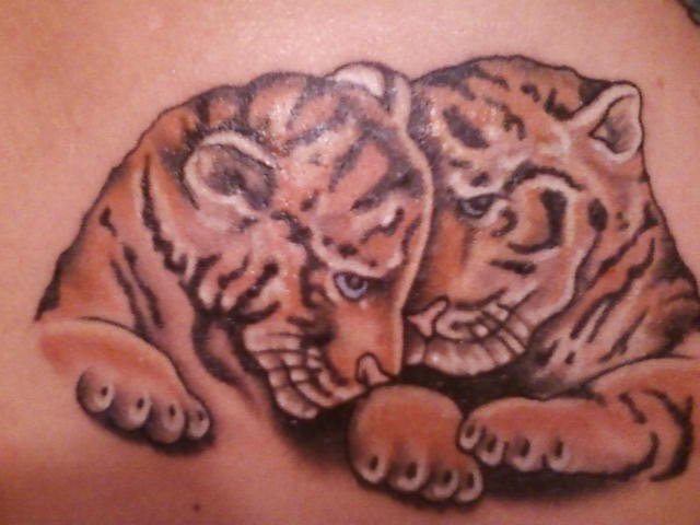 Tiger Cubs Tattoo Alligator Ink Studios Mentor Oh Al Garcia