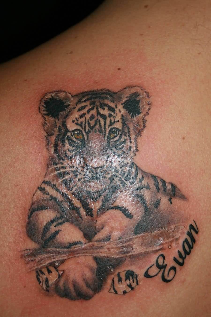 Top Tiger With Cubs Tattoo Designs for Enthusiasts