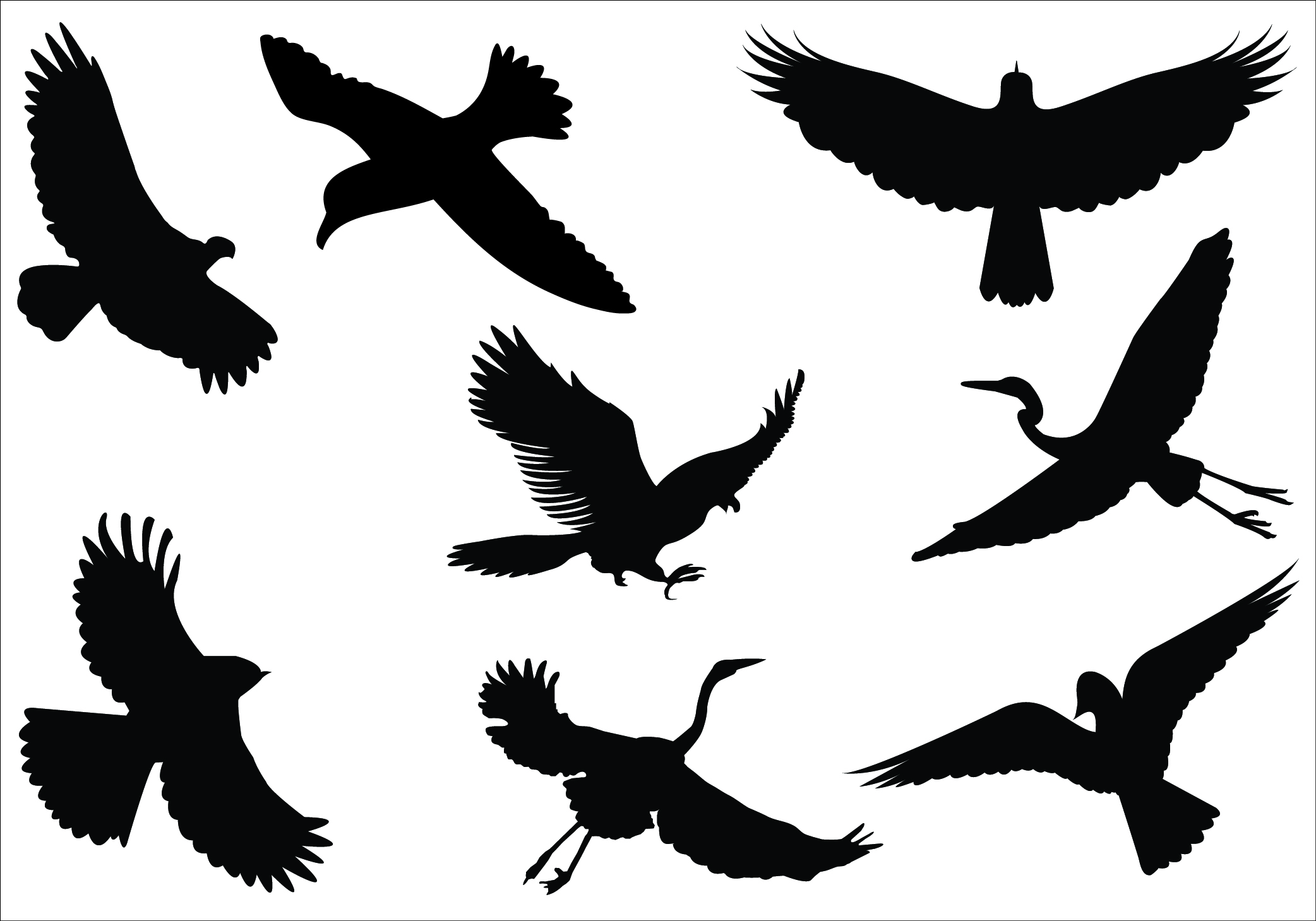 Two Black And White Tattoos On Both Legs With Birds Flying Above Them One Is Holding The Other