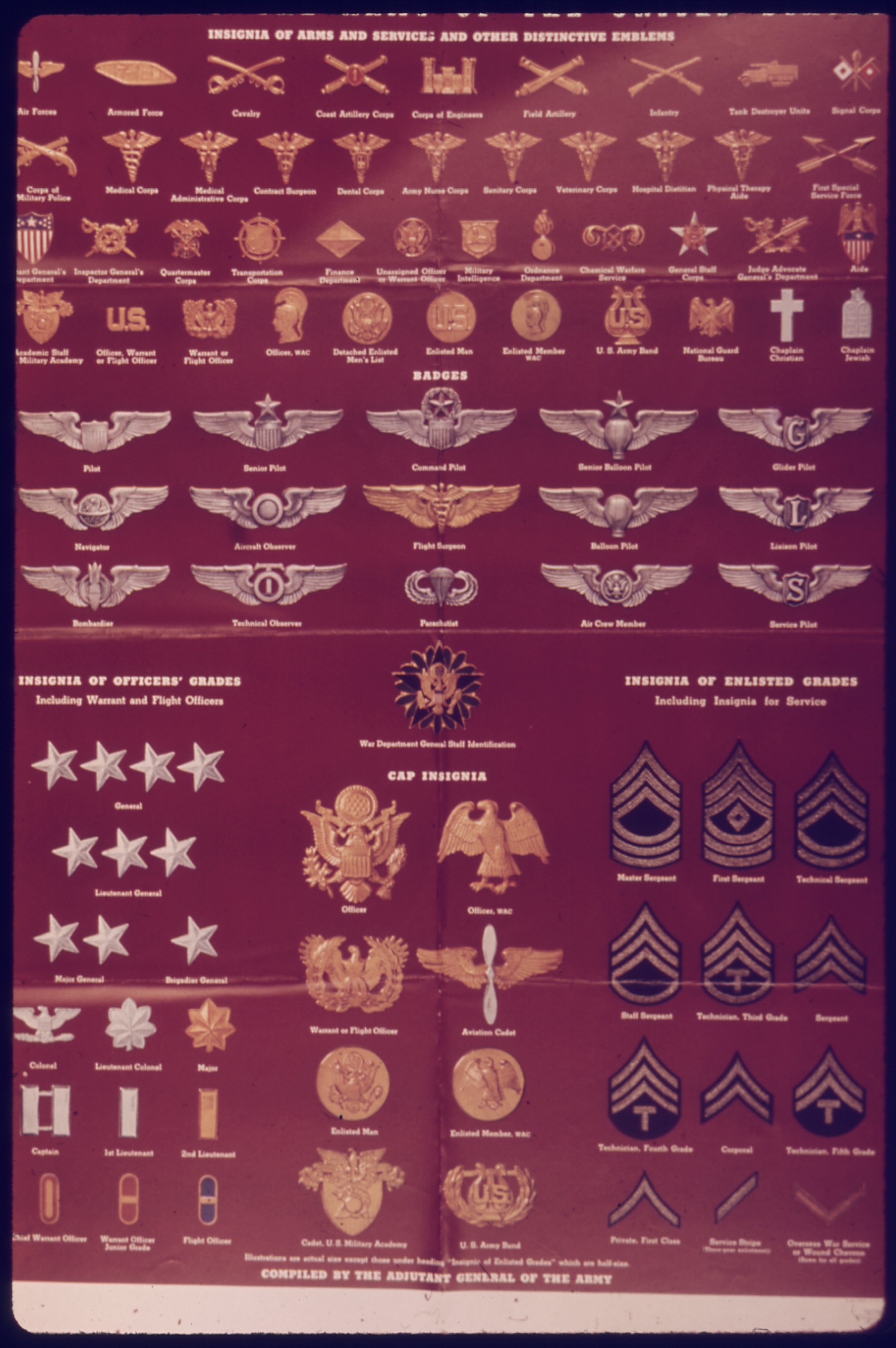 United States Army Enlisted Rank Insignia Of World War Ii Wikipedia