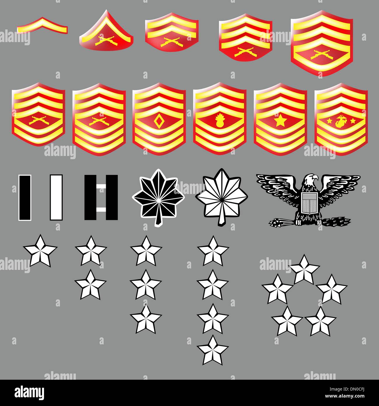 United States Marine Corps Rank Insignia Marine Corps Rank Structure