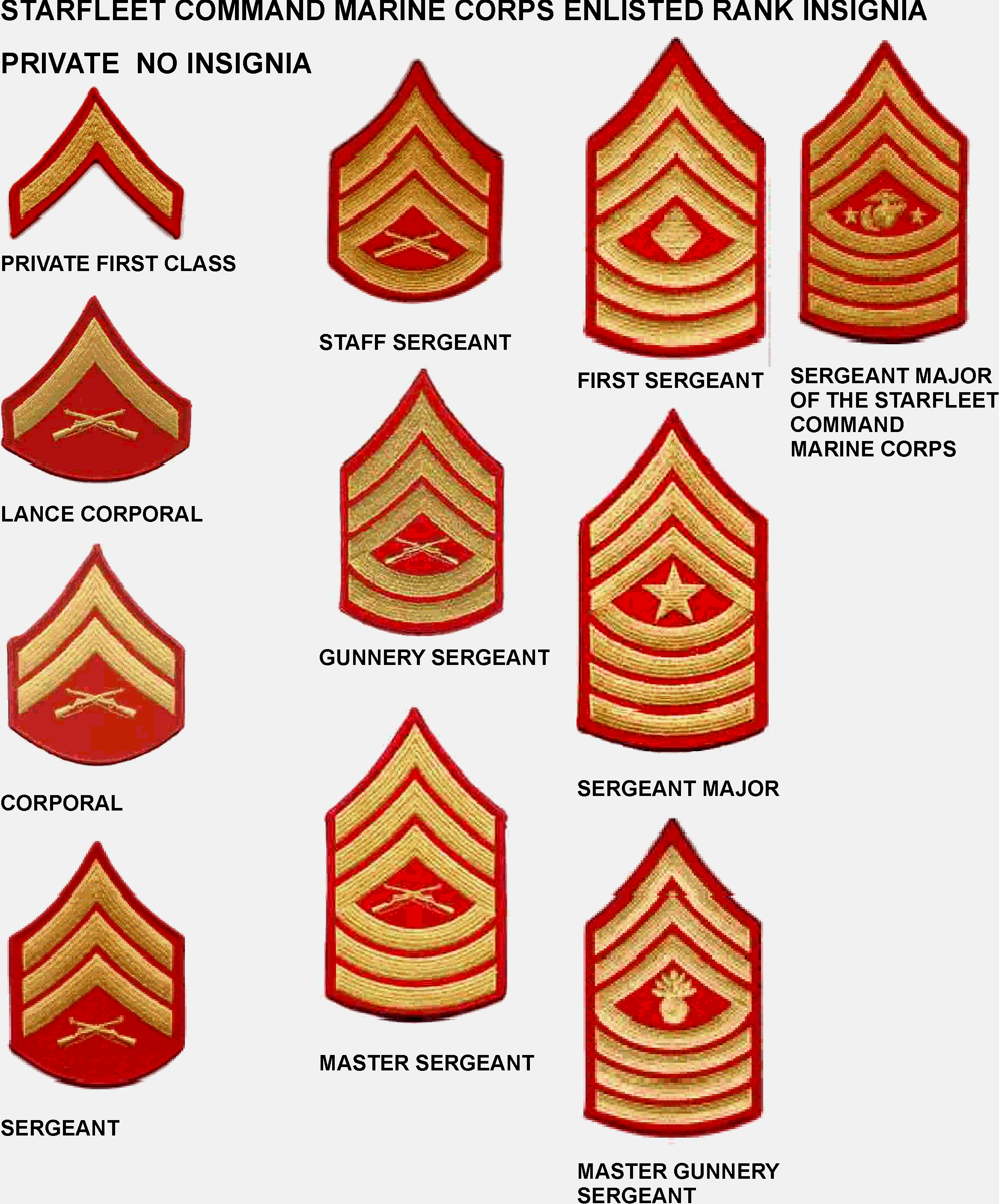 Usmc Enlisted Rank Structure Porn Sex Picture