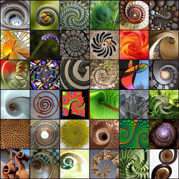 Various Spirals In Different Shapes And Sizes