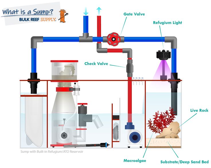 What Is A Sump Filtration And Refugiums For Your Aquarium Reef