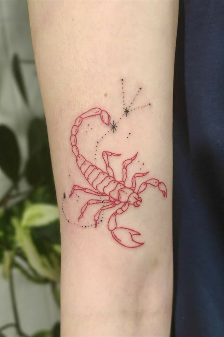 Zodiac Sign Tattoos For Real Zodiac Art Lovers Scorpion Tattoo